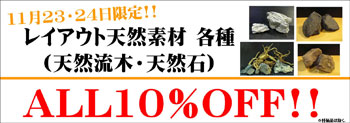 レイアウト天然素材ALL10％OFF-11月23.24TOP.jpg