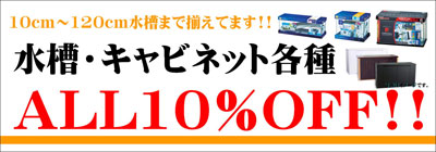 水槽10％OFF.jpg