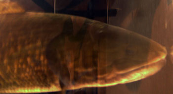 107.jpg