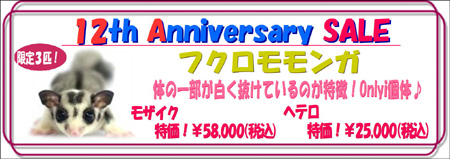 12周年祭フクモモ.JPG