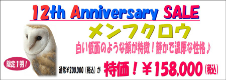 12周年祭メンフクロウ.JPG