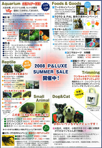 2008-Summer-Back2.jpg