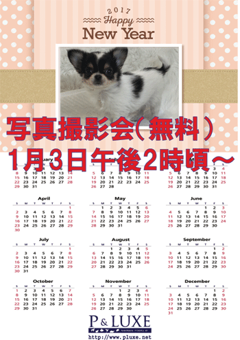 2017-calendar　1.gif