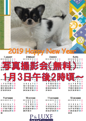 2019HNYWeb2.gif