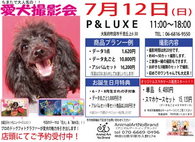 7月12日P&LUXE チラシ.jpg