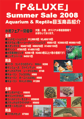 Aqua-&-Rep-SS-2008-2.jpg