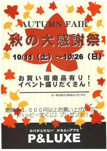 Autumn-Fair-2.jpg