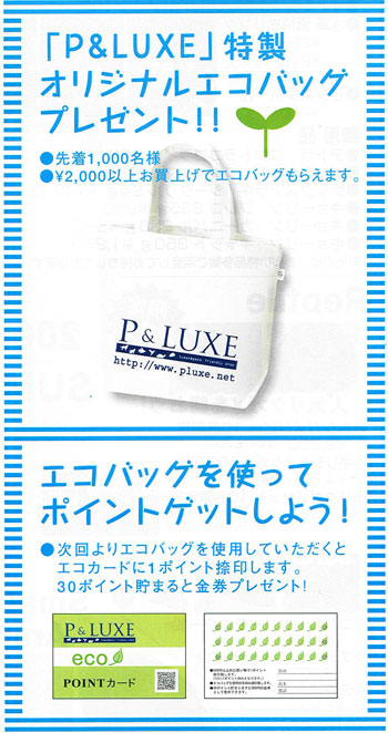 Eco-Bag-2.jpg