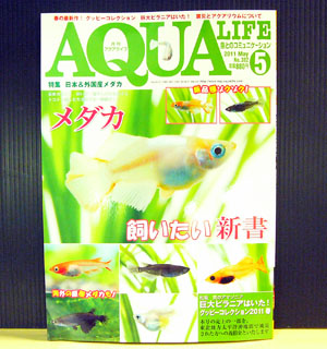 aqualife1104.jpg