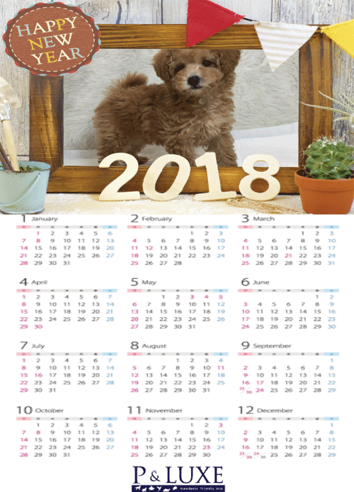 calendar-tp.gif