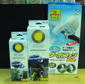 fan0520.jpg
