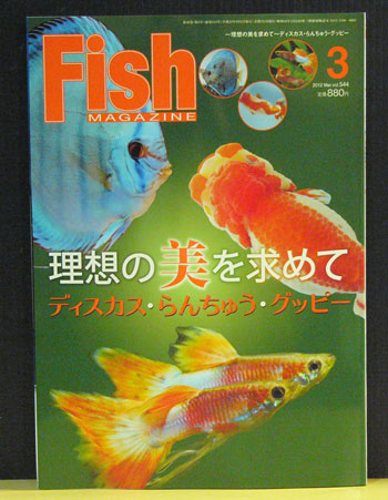 fishmagagine0208.jpg