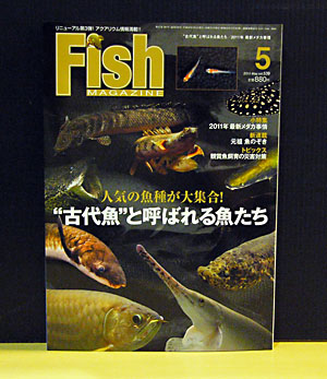 fishmagazin1104.jpg
