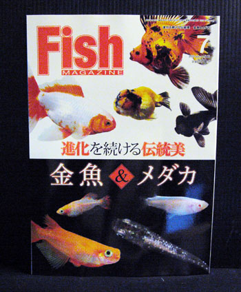 fishmagazin546.jpg