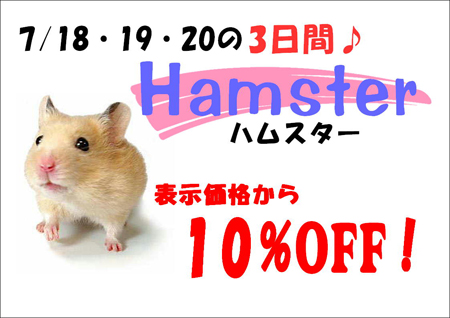 hamusuta-.jpg