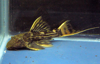 housi0522.jpg