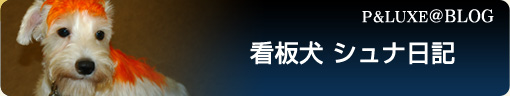 看板犬　シュナ日記