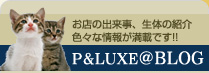 ペットショップの情報がいっぱい　P&LUXE BLOG