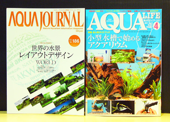 magazins0411.jpg