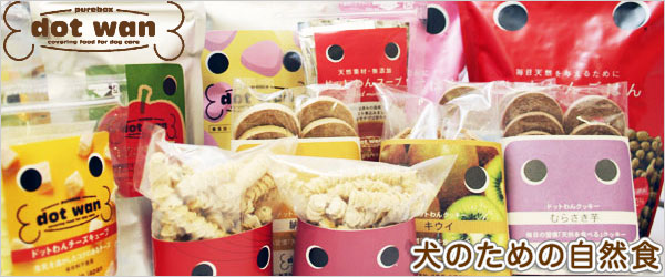 ドットわん